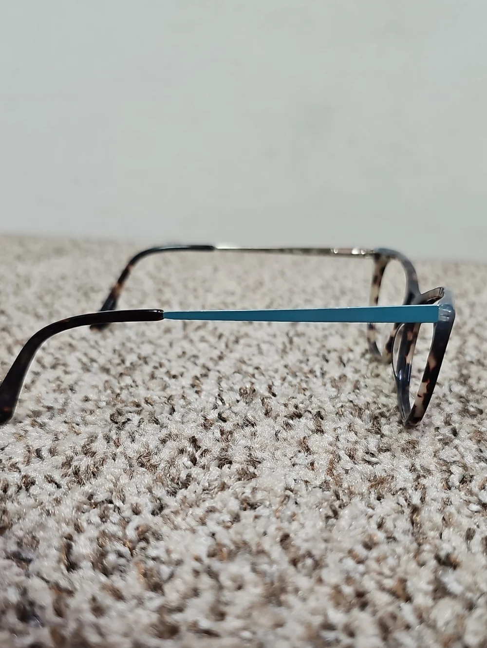 SALSA EYEGLASS FRAMES BFPM-08-207